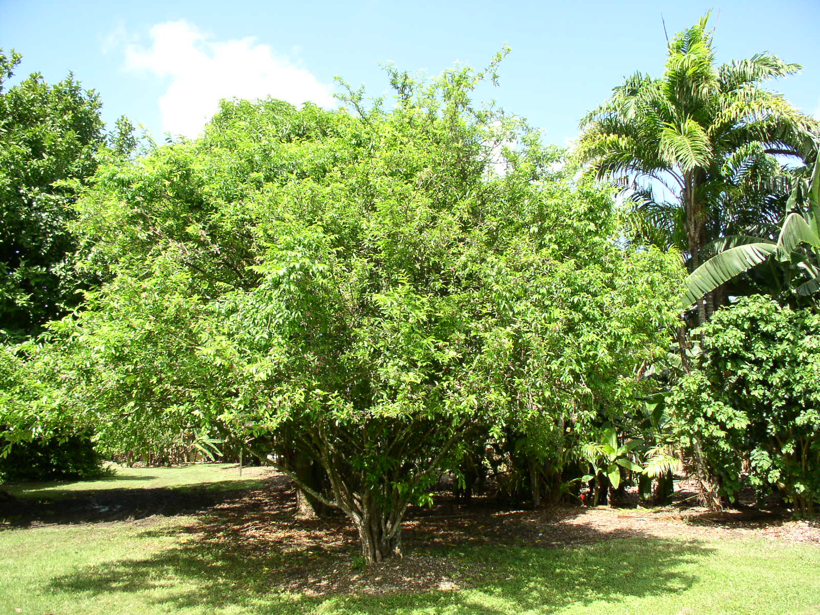 photo1